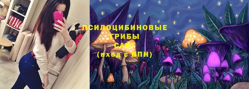 Псилоцибиновые грибы Psilocybe  хочу наркоту  mega сайт  Шуя 